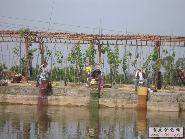 DSCN7352.JPG