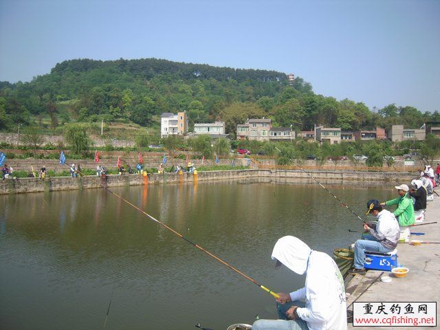200853bij16sz5zazisj6a.jpg