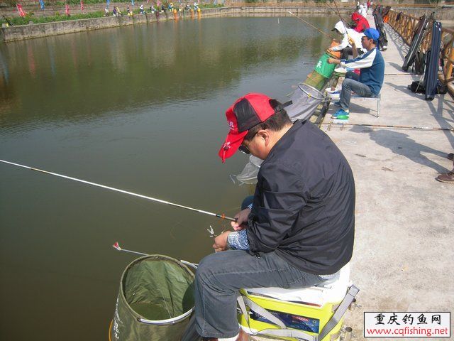 200859va79afjgmaa0ff01.jpg