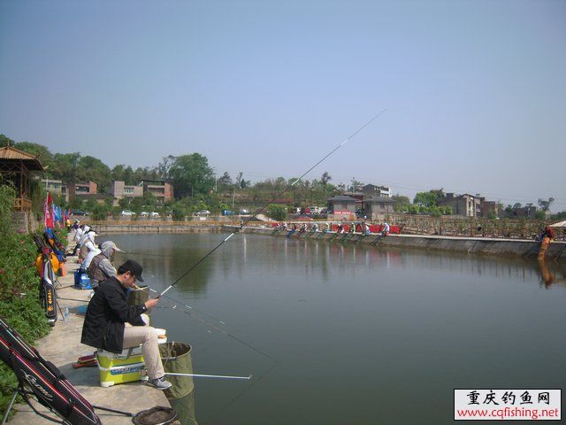 200920tuoofczde6a7dodv.jpg