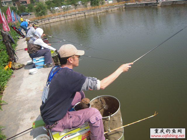 200931e5qtwaiw5zpsewtl.jpg