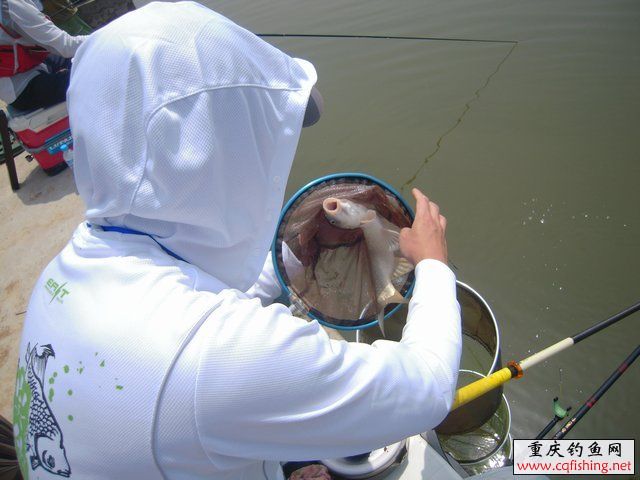 200956oyye3ievvwwiyhyi.jpg