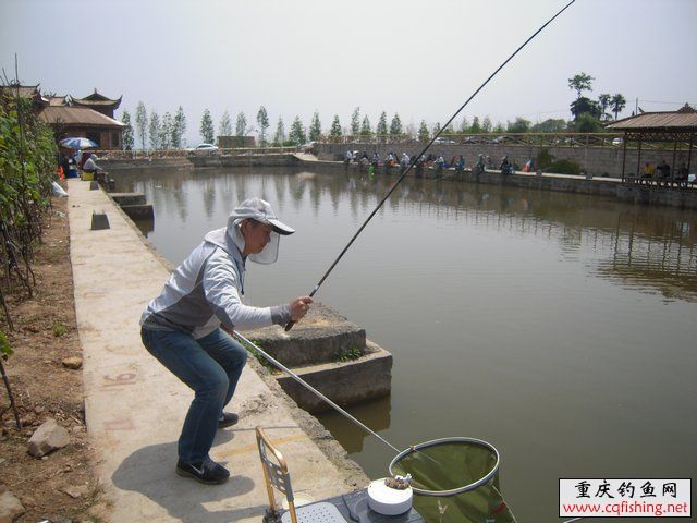 200958hf44fameyq3amt9z.jpg
