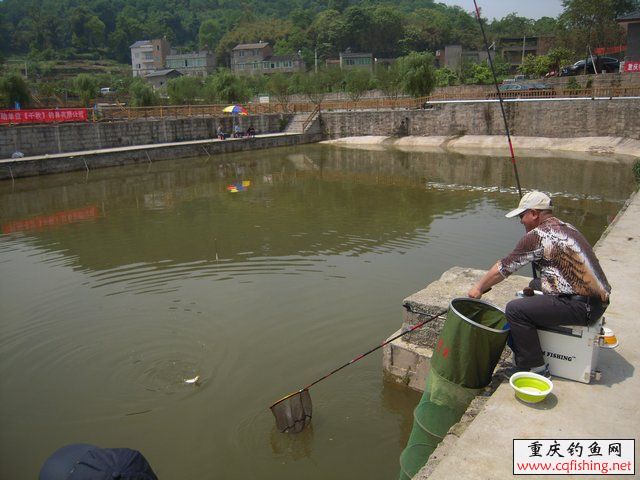 201007cey3eeoebcb15zsl.jpg