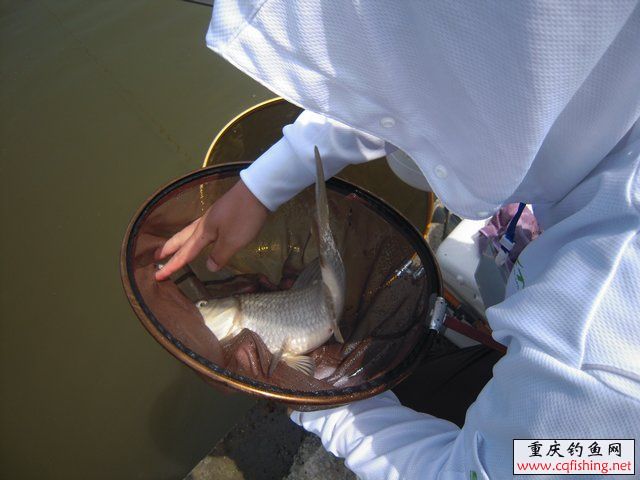 201014ypyqi3g2bpppmxtg.jpg