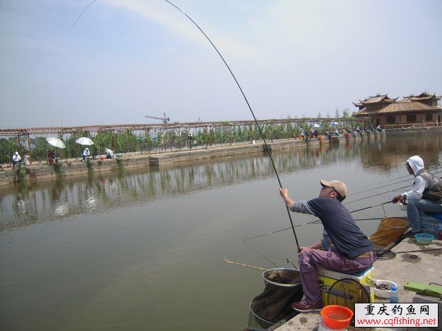 201018ncu85co8o58hzhm8.jpg