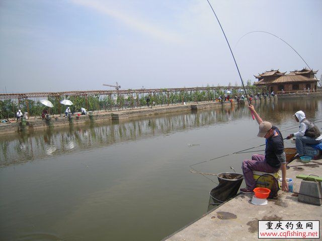 201020qr0d4m3tje04uwwq.jpg