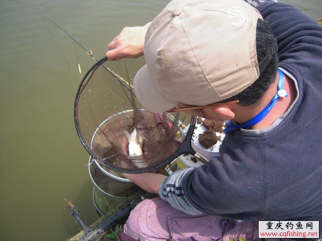 201025kvgmvgyptbmdr9va.jpg