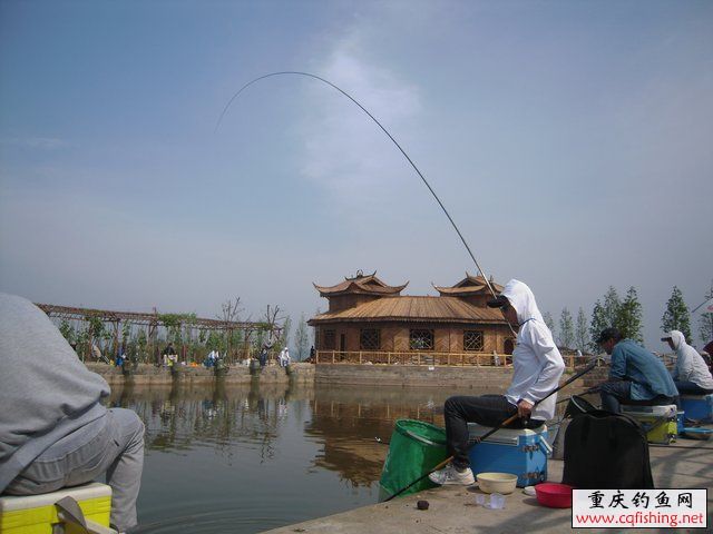 201034ntp4fm6tuut6rj8f.jpg