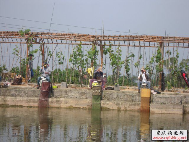 201039dzgghhpkhacp9jj2.jpg