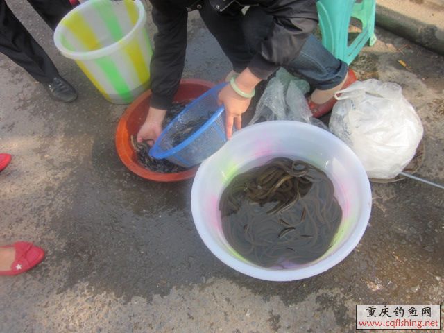  (2)  Ƭﻨ 144.jpg