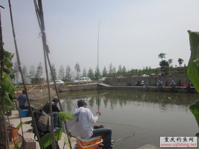  Ƭﻨ 223.jpg