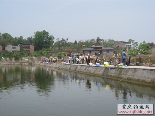 IMG_4862_С.jpg