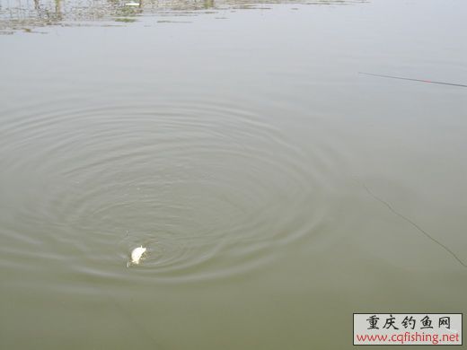 IMG_4913_С.jpg