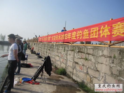 131431xy7y4nf478yyzwwy.jpg