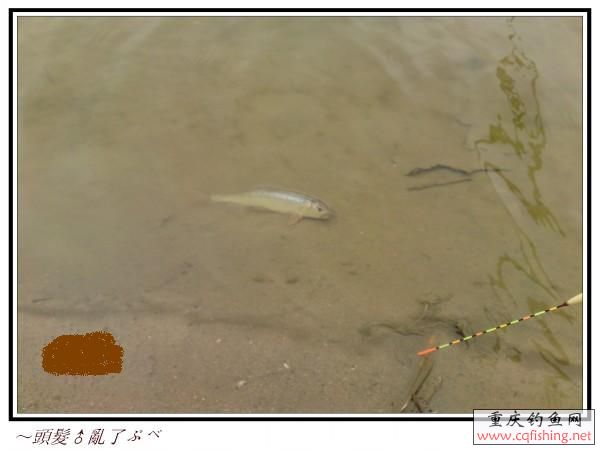 conew_p11-04-13_11.24[01].jpg