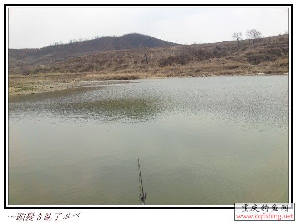 conew_p11-04-13_12.22.jpg