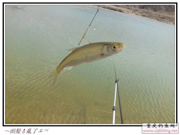 conew_p11-04-13_13.16[01].jpg