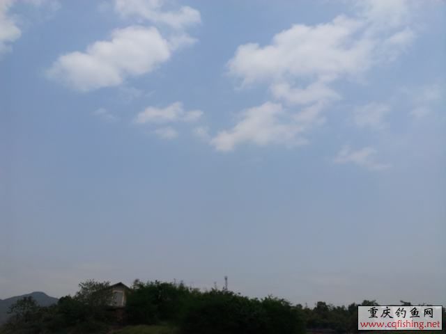 16597_2013042012031000_20130420_120311.jpg