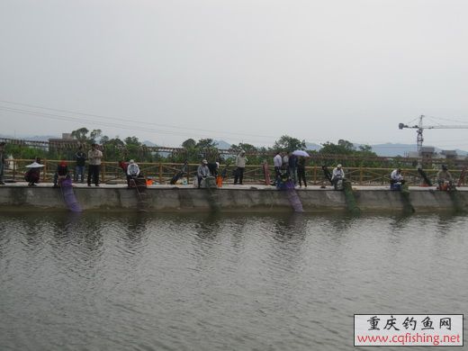 IMG_5204_С.jpg
