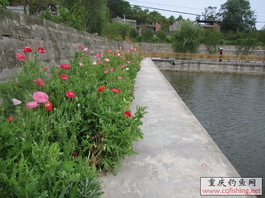 IMG_5207_С.jpg