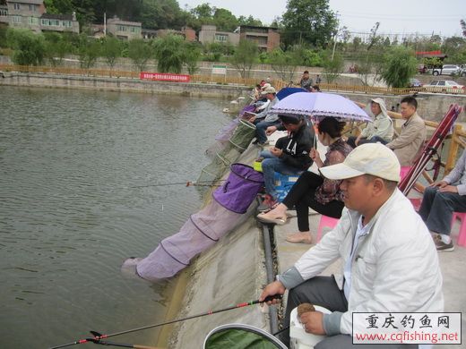 IMG_5228_С.jpg