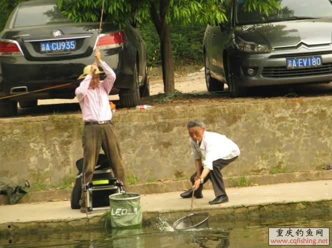 ǵƻȷ.jpg