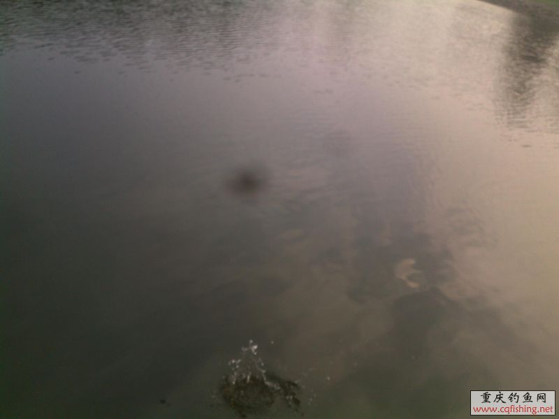201304021098.jpg
