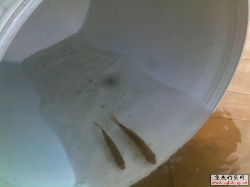 201304201112.jpg