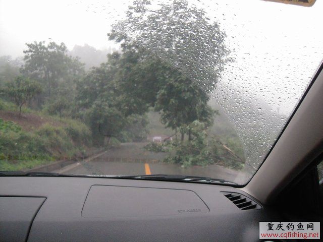DSCN7764.JPG