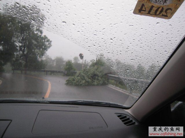 DSCN7766.JPG