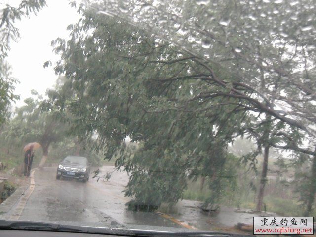 DSCN7767.JPG