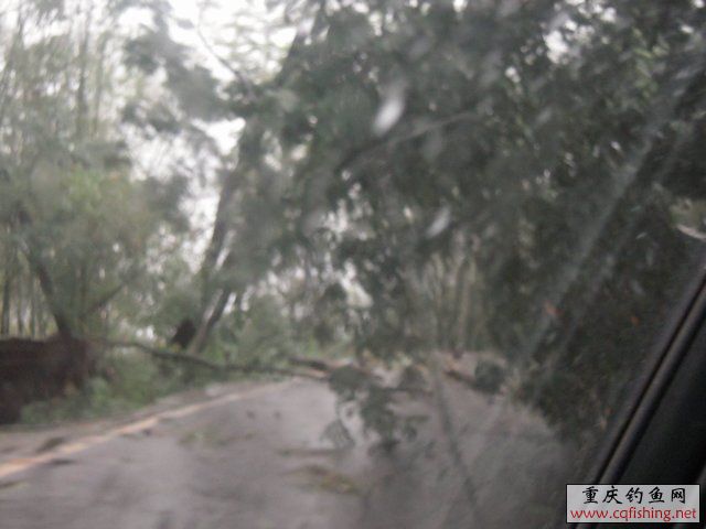 DSCN7768.JPG