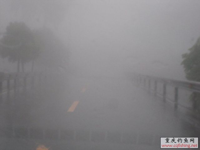 DSCN7773.JPG