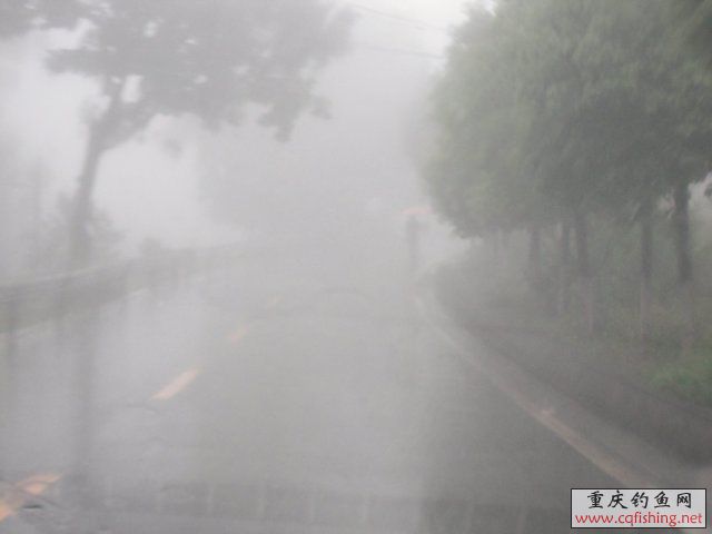 DSCN7774.JPG