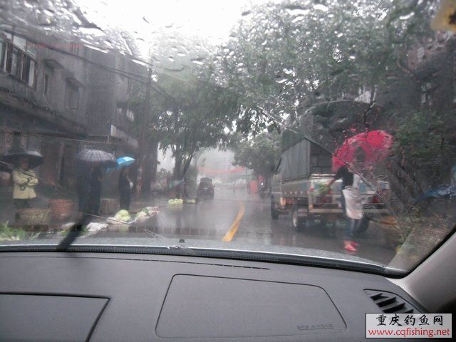 DSCN7775.JPG