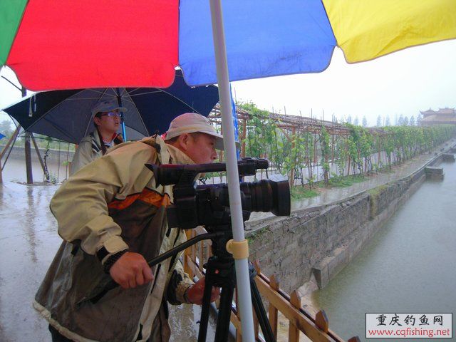 DSCN7782.JPG