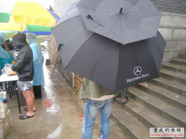 DSCN7786.JPG