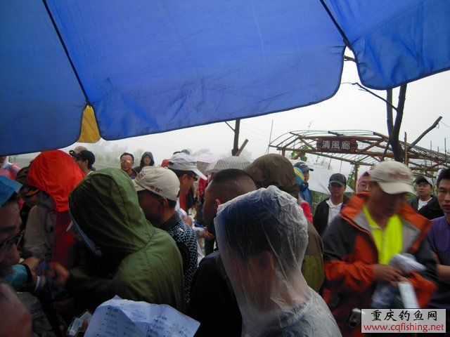 DSCN7802.JPG