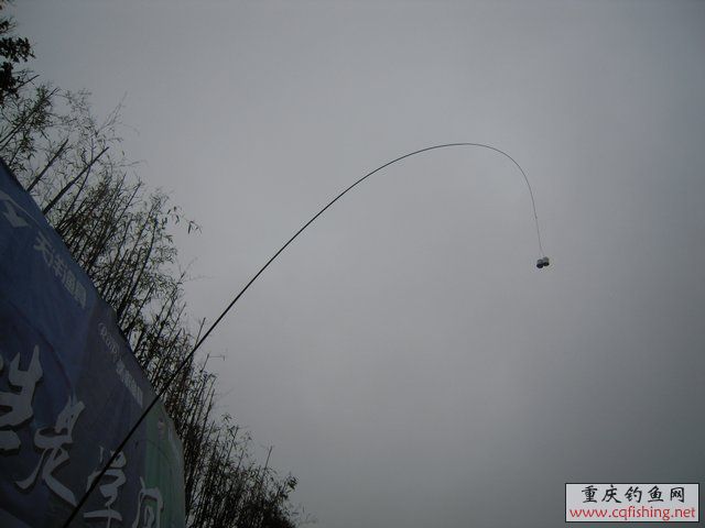 DSCN7842.JPG