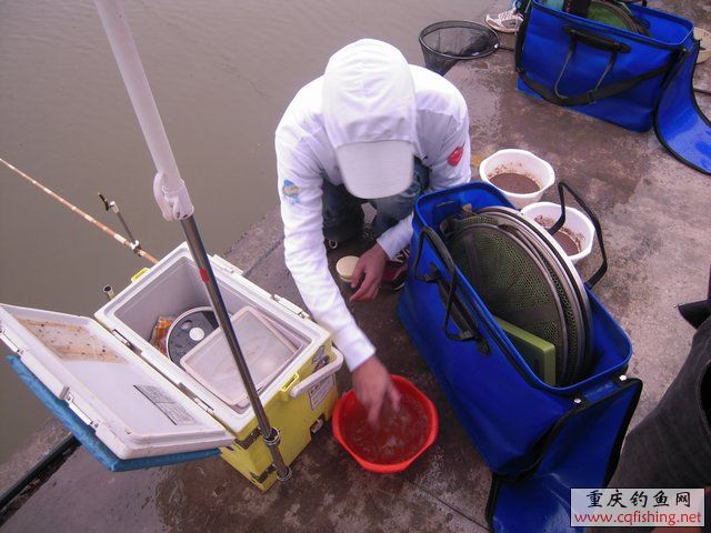 DSCN7849.JPG