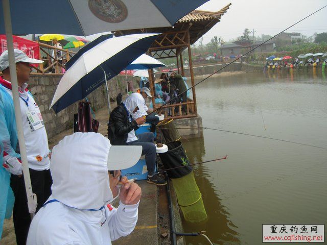 DSCN7852.JPG