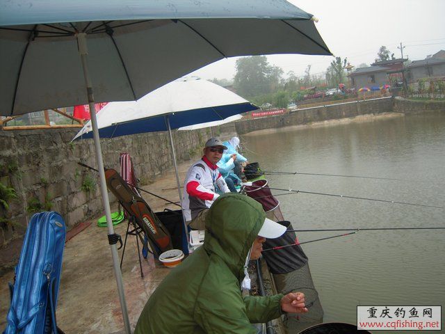 DSCN7856.JPG