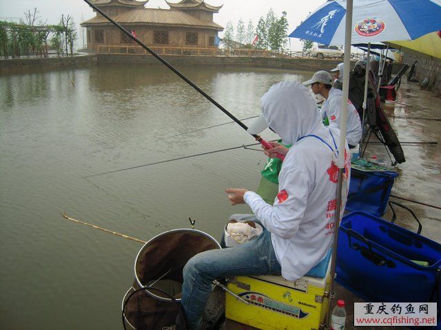 DSCN7858.JPG