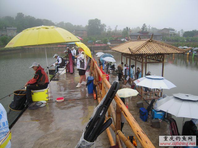 DSCN7861.JPG