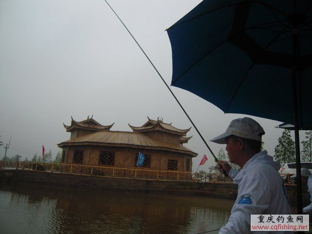 DSCN7862.JPG