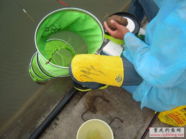 DSCN7869.JPG