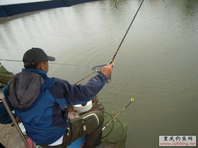 DSCN7870.JPG