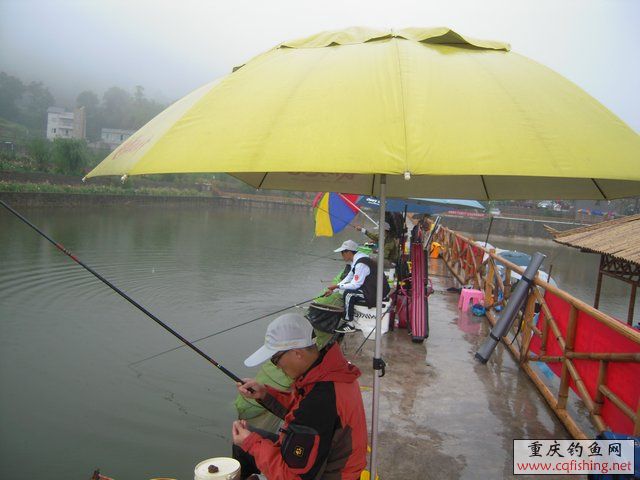 DSCN7872.JPG