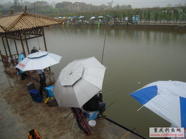 DSCN7876.JPG